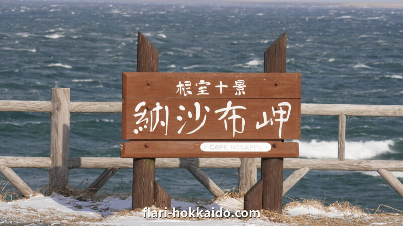 日本の本土最東端の納沙布岬ではラッコやクジラを見れるかもしれない