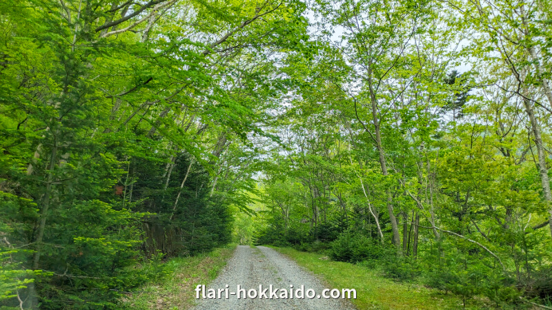 えりも町豊似湖(とよにこ)までの道は砂利道がつづく